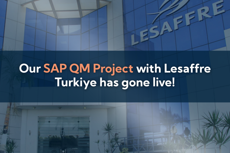 Lesaffre QM Project SM Post