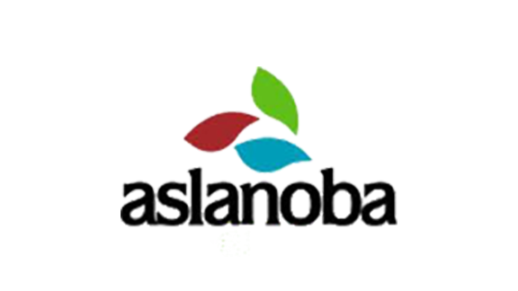 solvia-references-aslanoba-logo